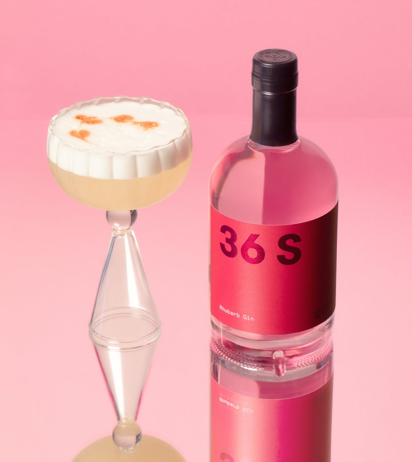 Rhubarb Gin Sour